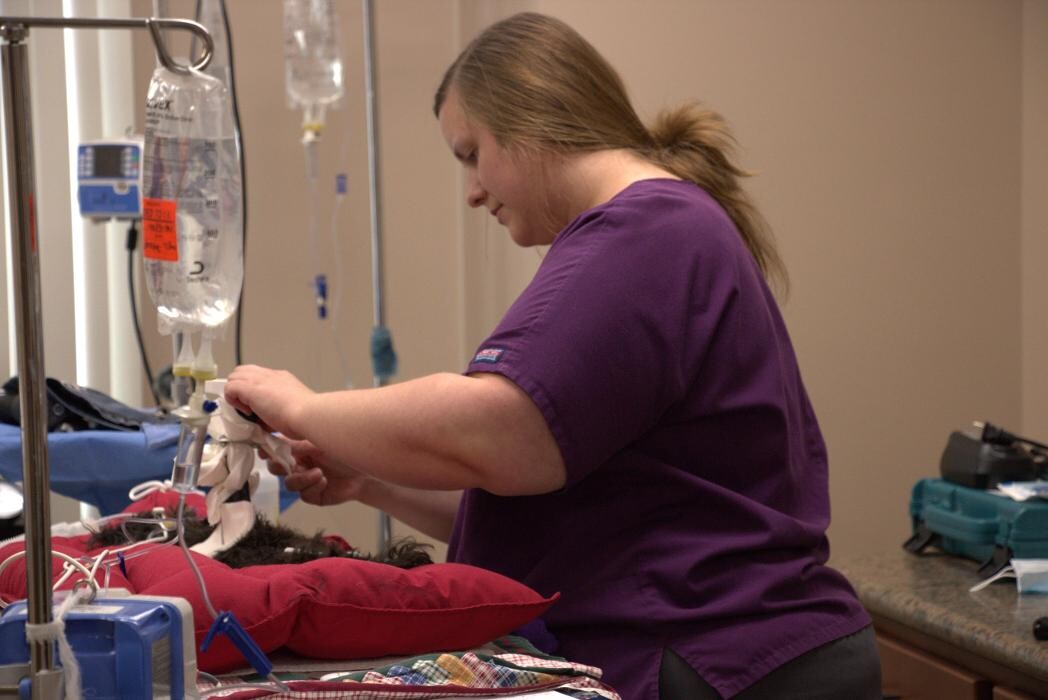 Images Westside Family Pet Clinic