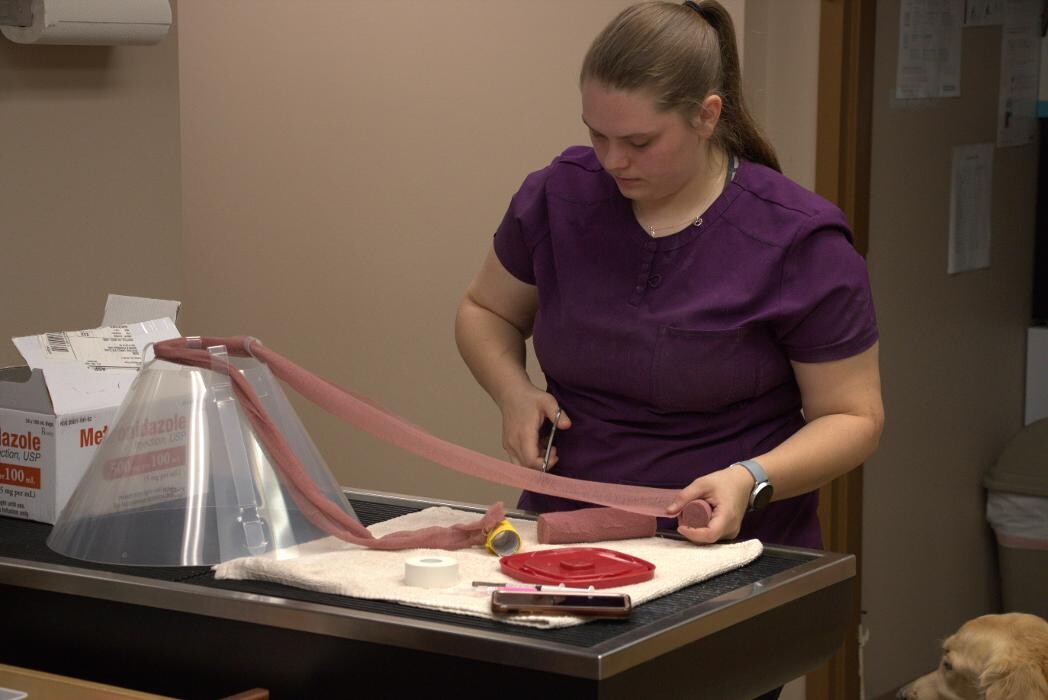 Images Westside Family Pet Clinic