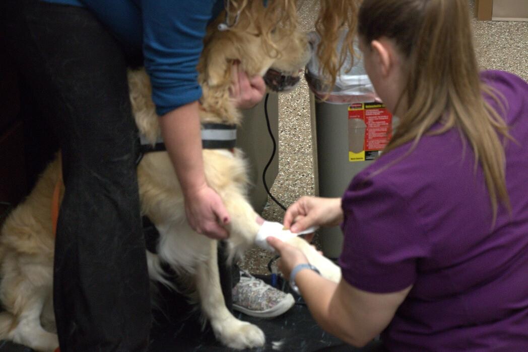 Images Westside Family Pet Clinic