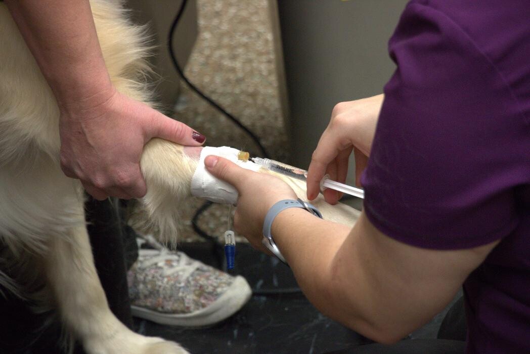 Images Westside Family Pet Clinic