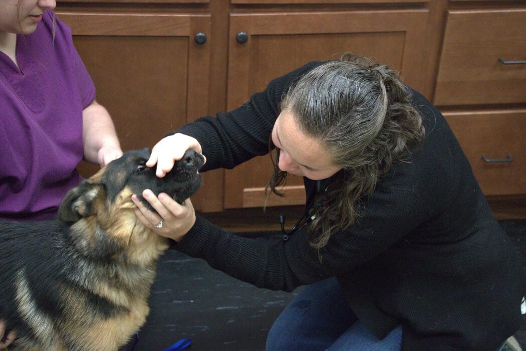 Images Westside Family Pet Clinic