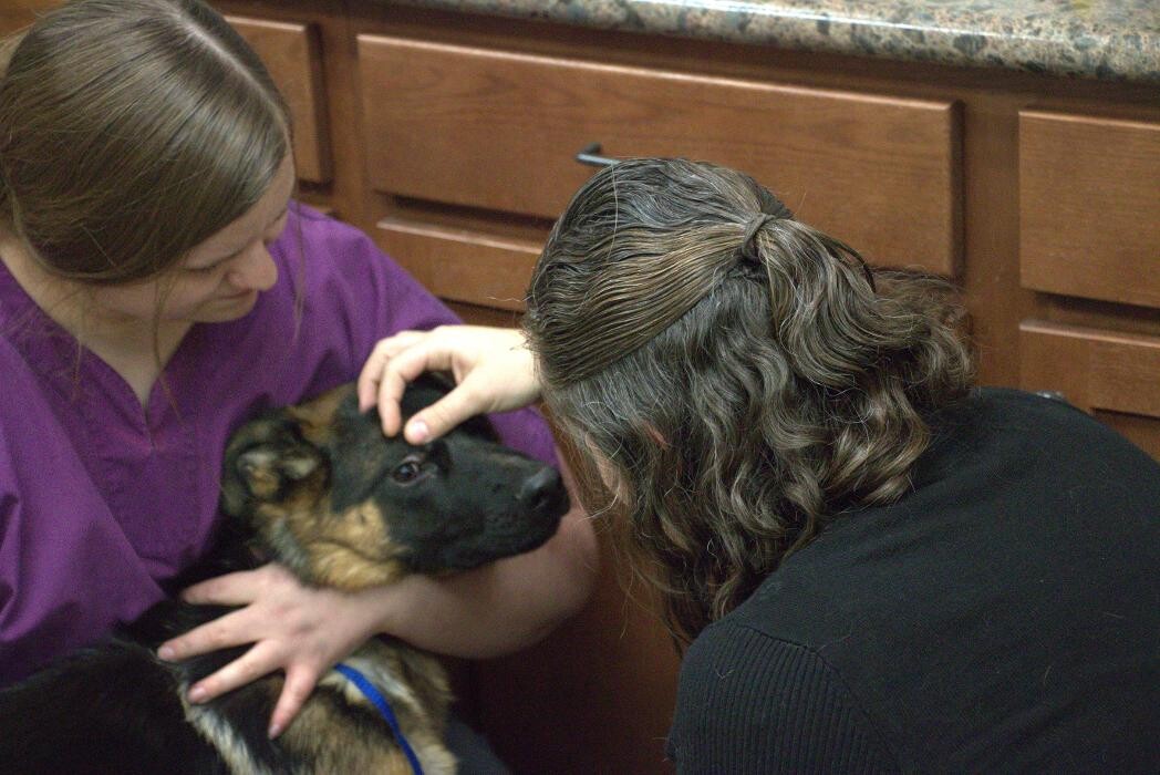 Images Westside Family Pet Clinic