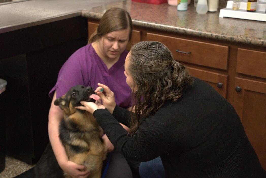 Images Westside Family Pet Clinic