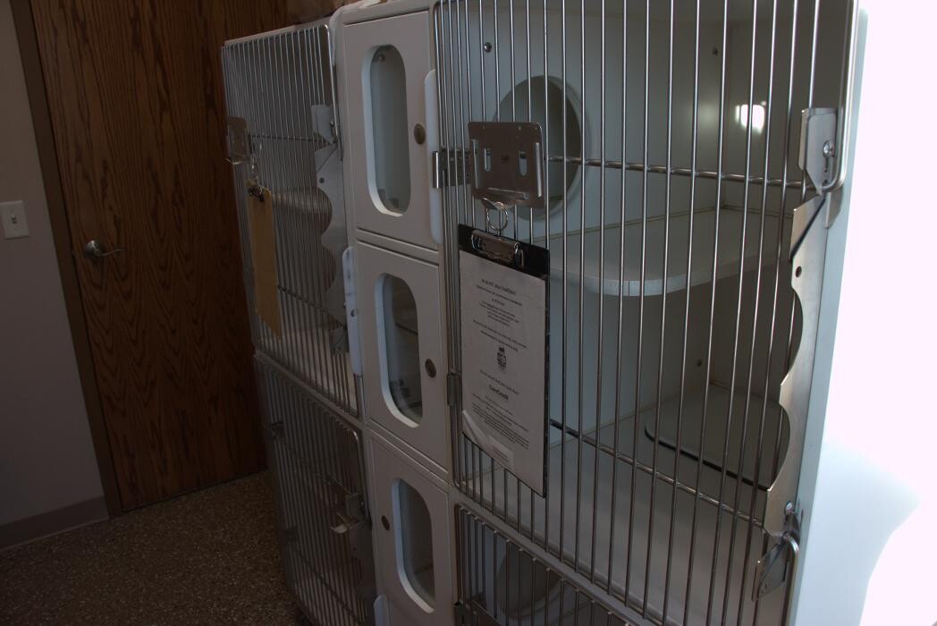 Images Westside Family Pet Clinic