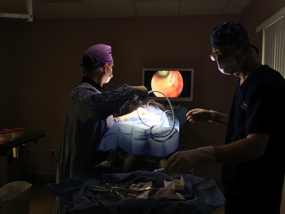 Images Westside Family Pet Clinic