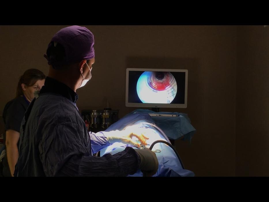 Images Westside Family Pet Clinic