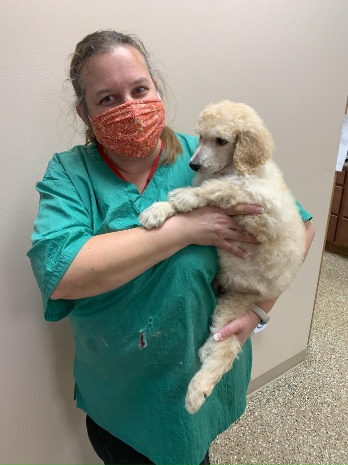 Images Westside Family Pet Clinic