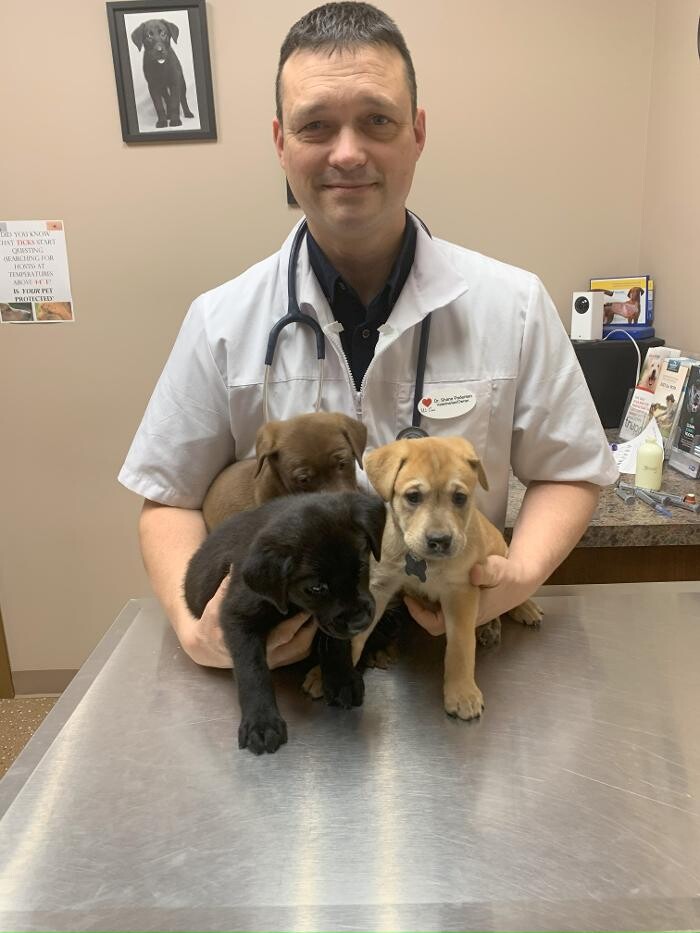 Images Westside Family Pet Clinic