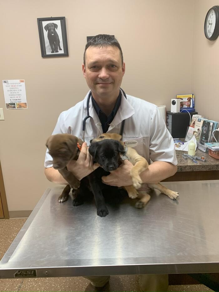 Images Westside Family Pet Clinic