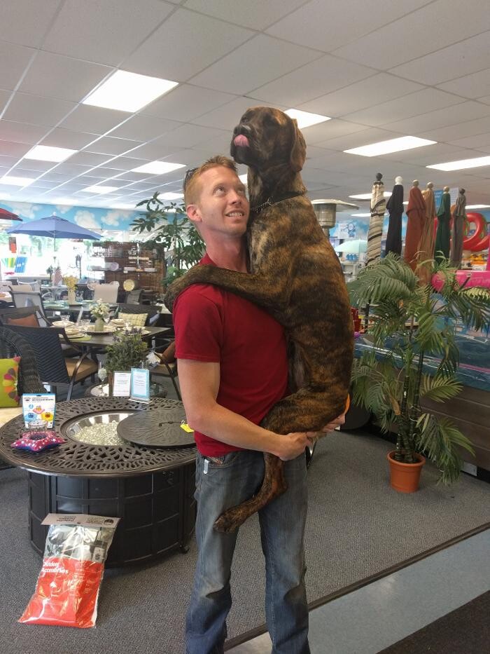 Images Pettis Pools & Patio