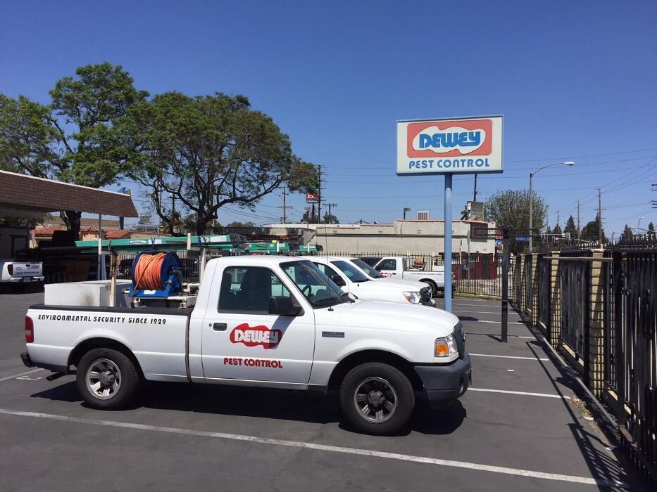 Images Dewey Pest & Termite Control