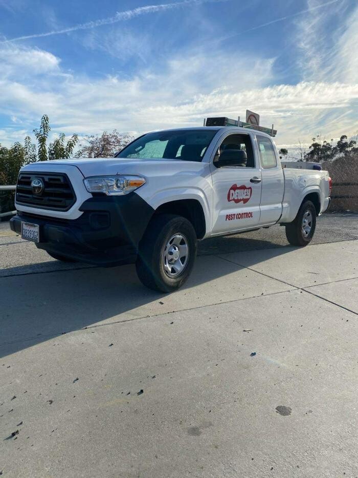 Images Dewey Pest & Termite Control