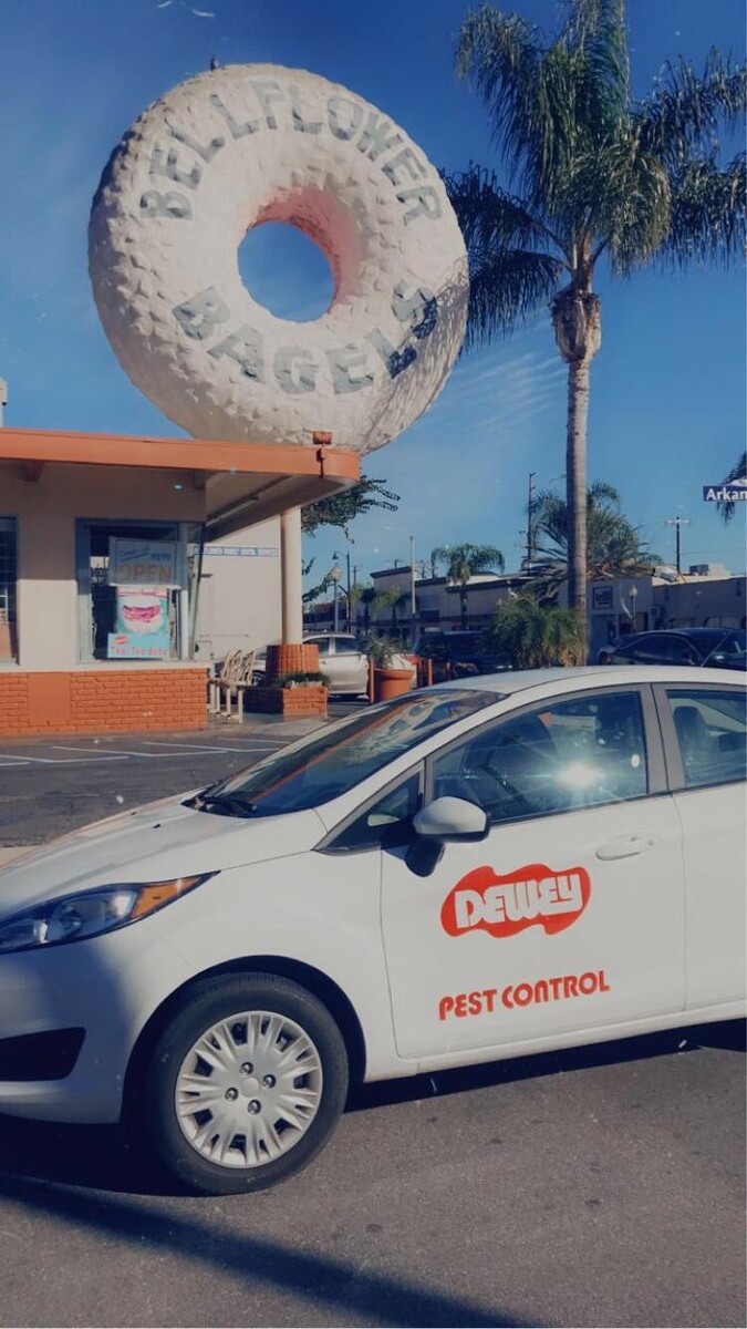 Images Dewey Pest & Termite Control