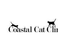 Website Screenshot Coastal Cat Clinic