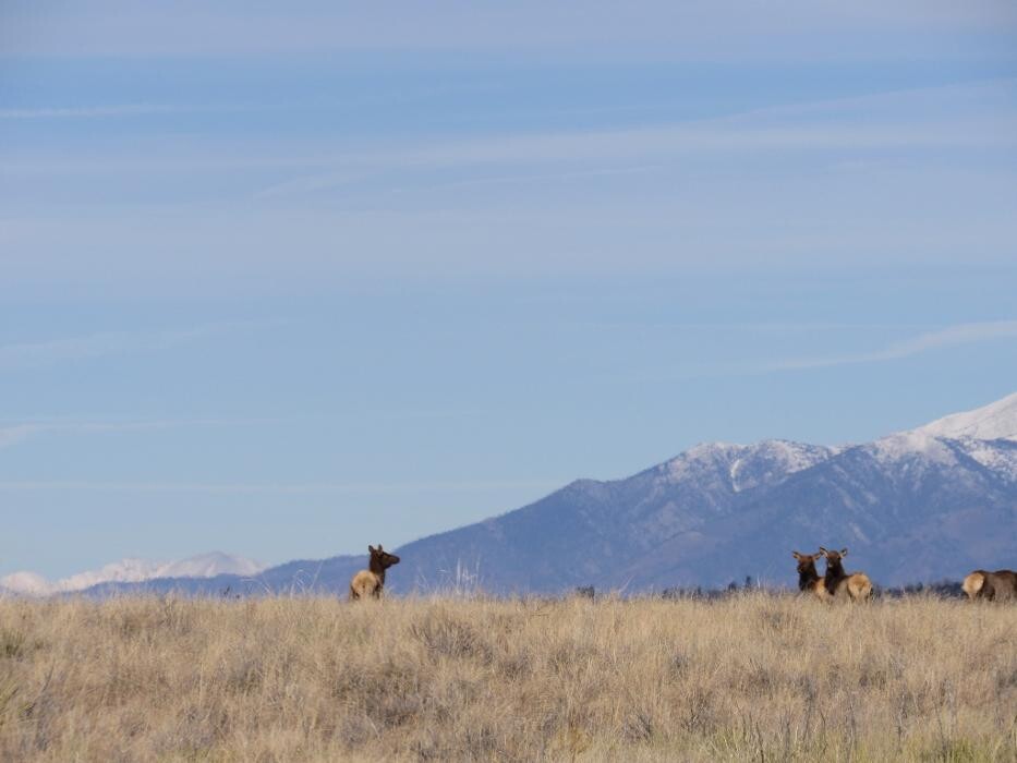 Images Reeves Real Estate