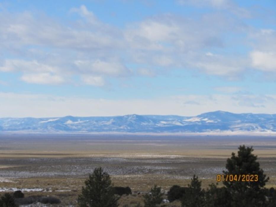 Images Reeves Real Estate