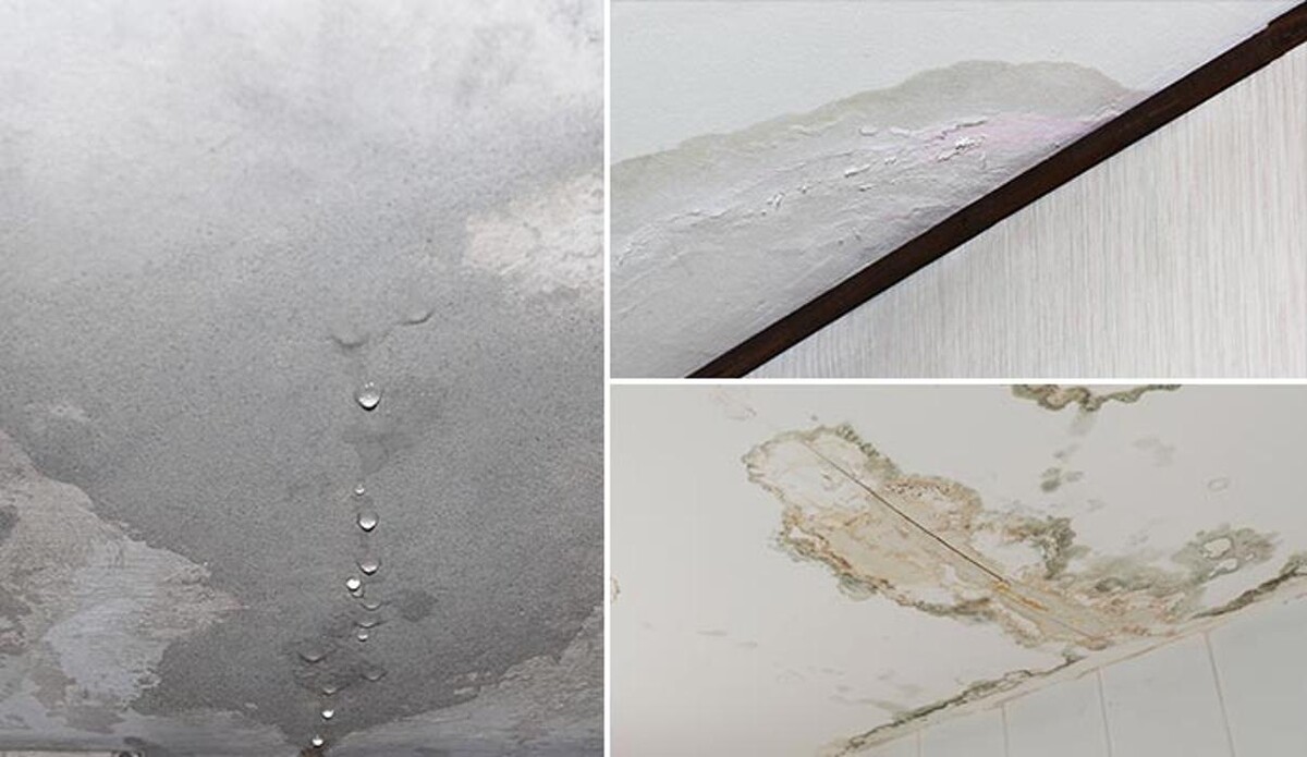 Images Camelot Emergency Water Removal