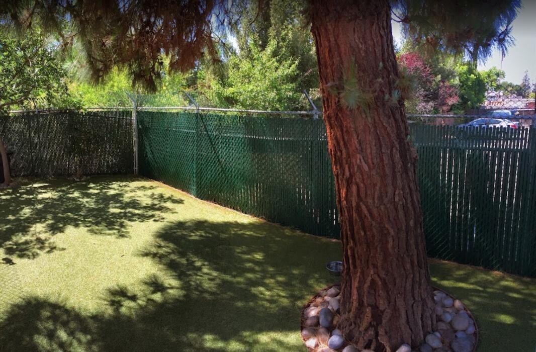 Images Dr. Dave's Doggy Daycare, Boarding, & Grooming