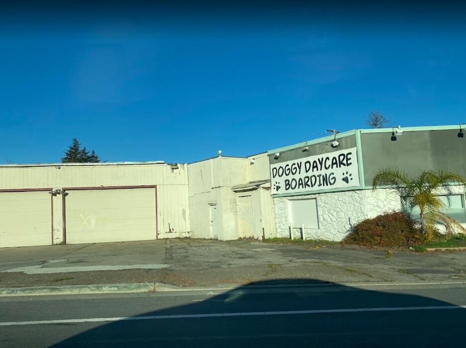 Images Dr. Dave's Doggy Daycare, Boarding, & Grooming