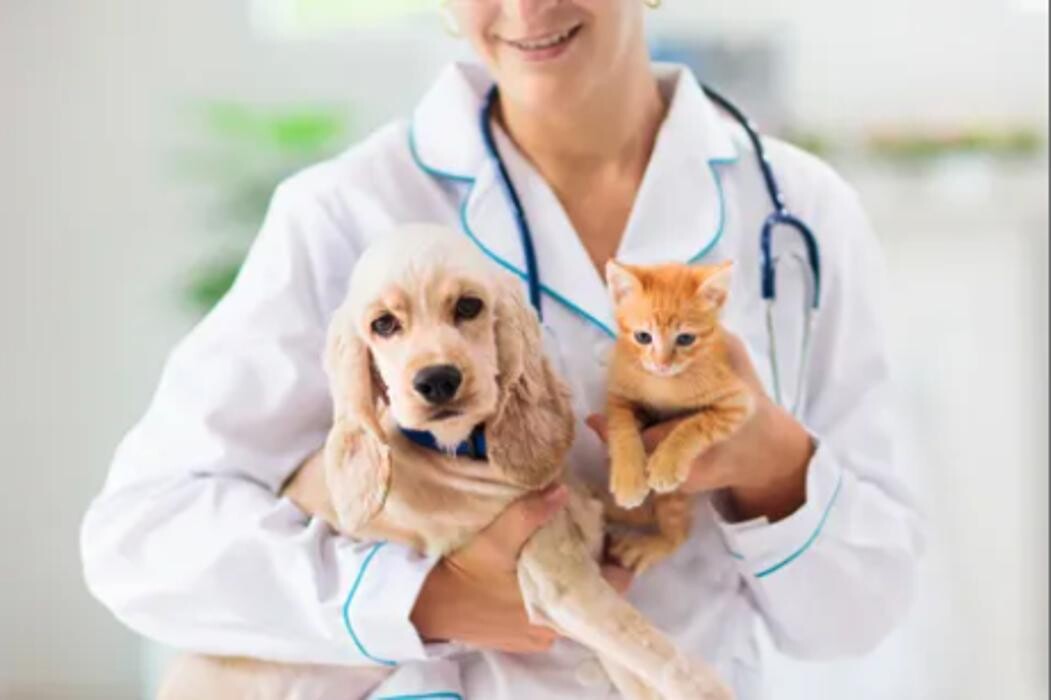 Images Grand View Animal Hospital