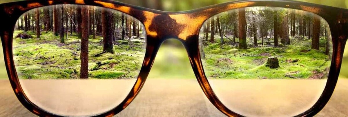 Images Treehouse Eyes - Salt Lake City