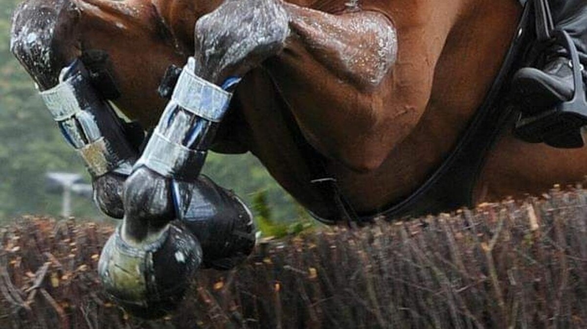 Images Equine Exchange Tack Shop