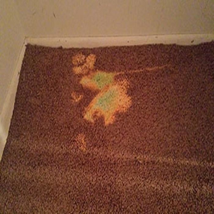 Images SOL Carpet Repair