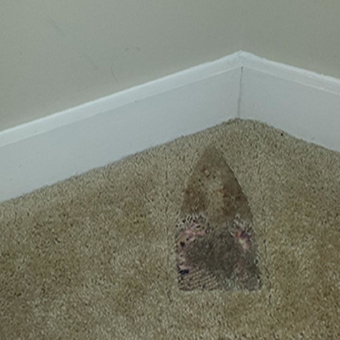 Images SOL Carpet Repair