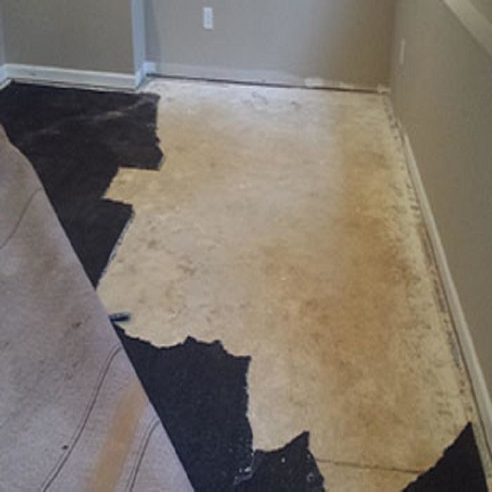 Images SOL Carpet Repair