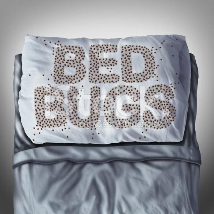 Images Windy City Bed Bug Specialists