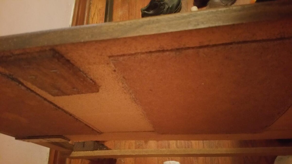 Images Windy City Bed Bug Specialists