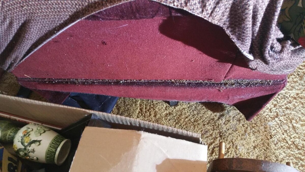 Images Windy City Bed Bug Specialists