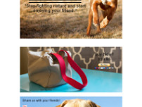 Stop the Fight! Dog Toys website screenshot