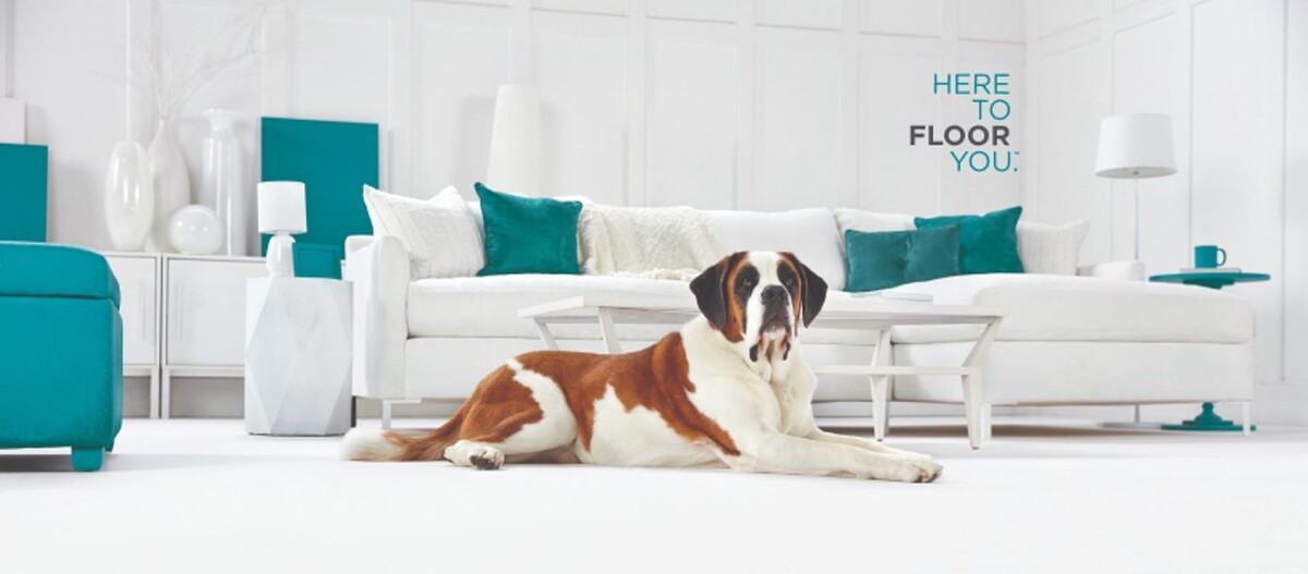 Images Sam's Carpet One Floor & Home