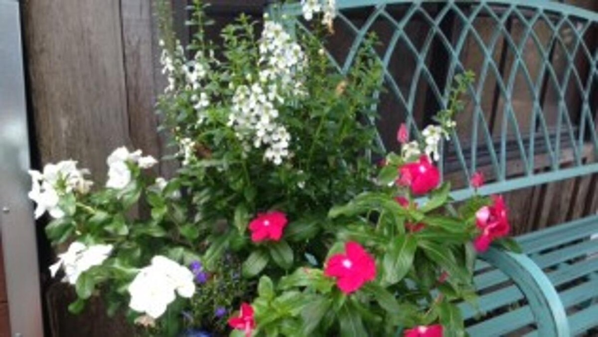 Images All Seasons Nursery & Landscaping, Inc.