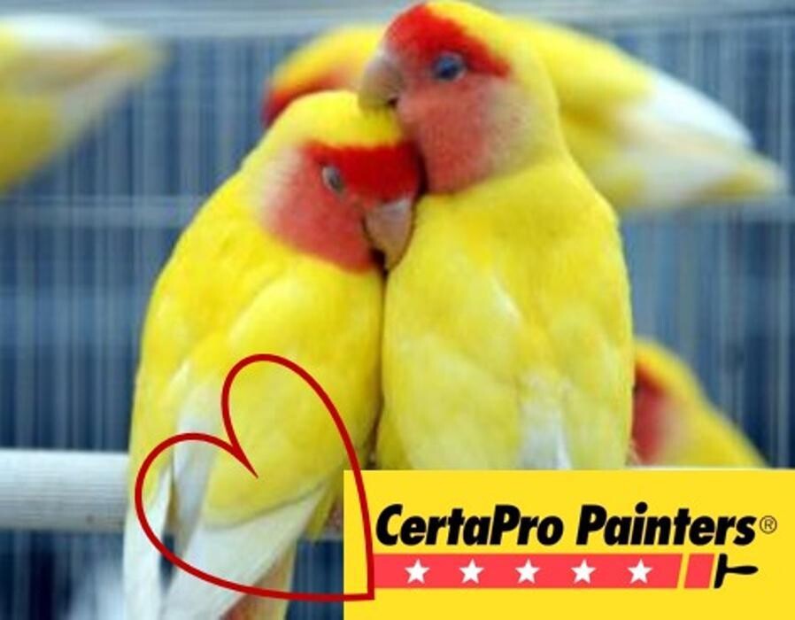 Images CertaPro Painters of Austin, TX