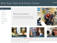 Wise Eyes Optical website screenshot