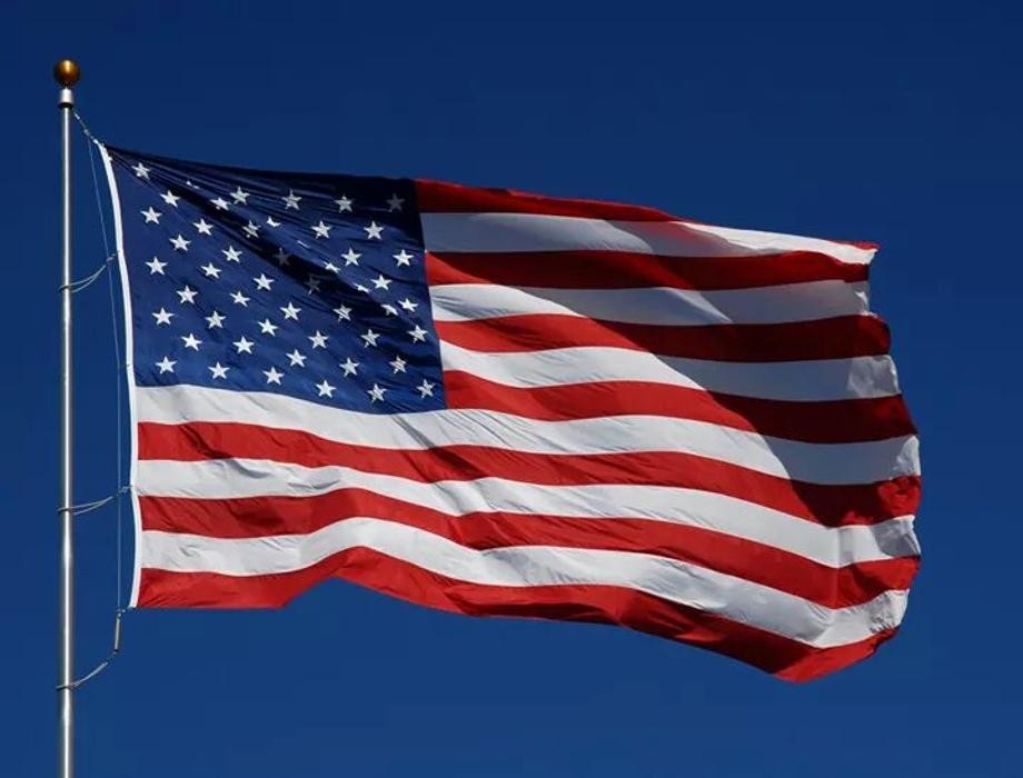 American Payroll Services Inc Logo