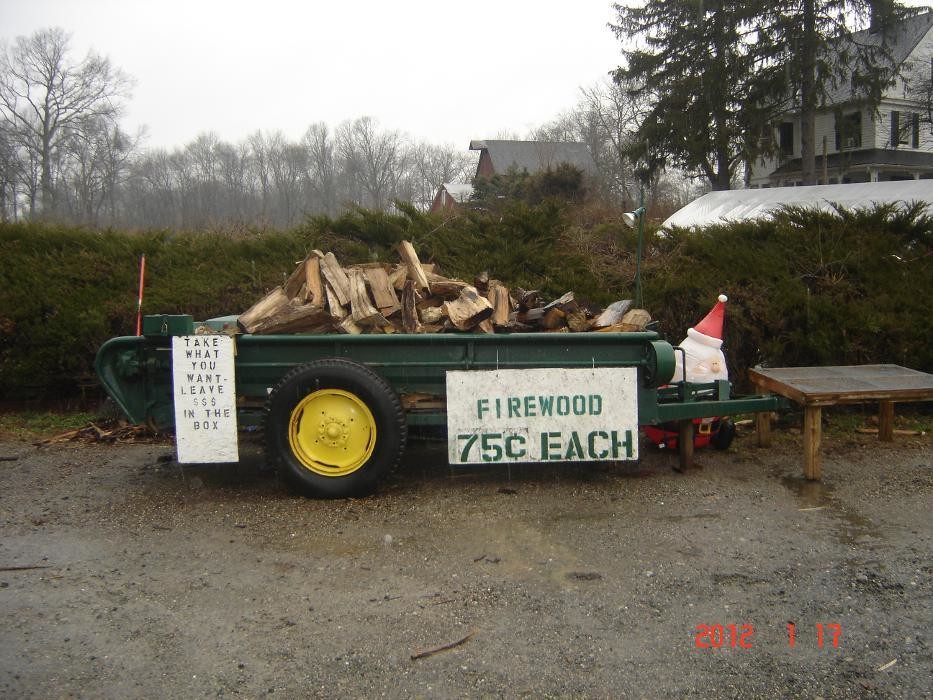 Images Moores Tree Service