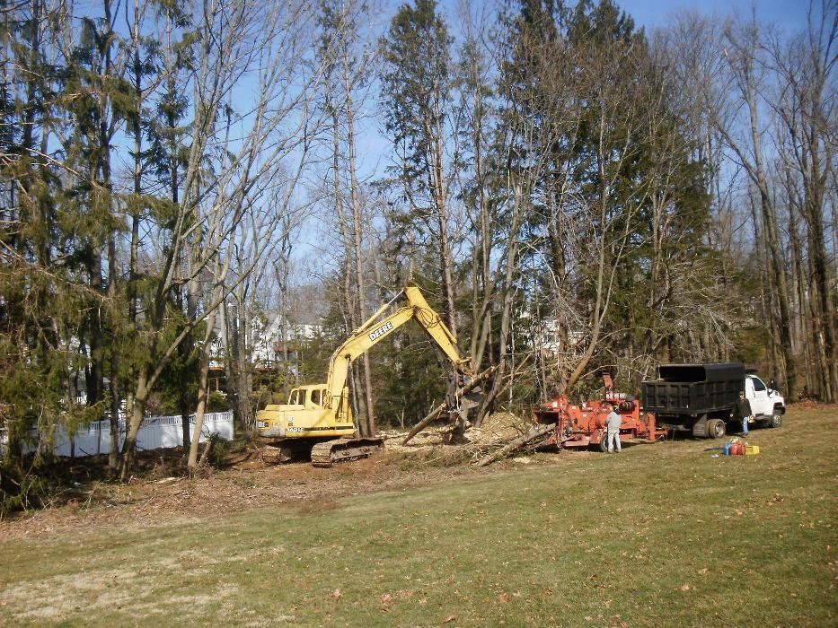 Images Moores Tree Service