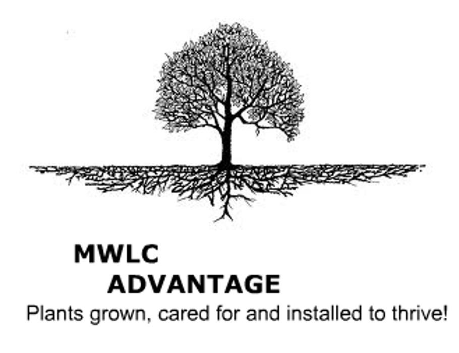 Images Mark Webber's Landscaping Company