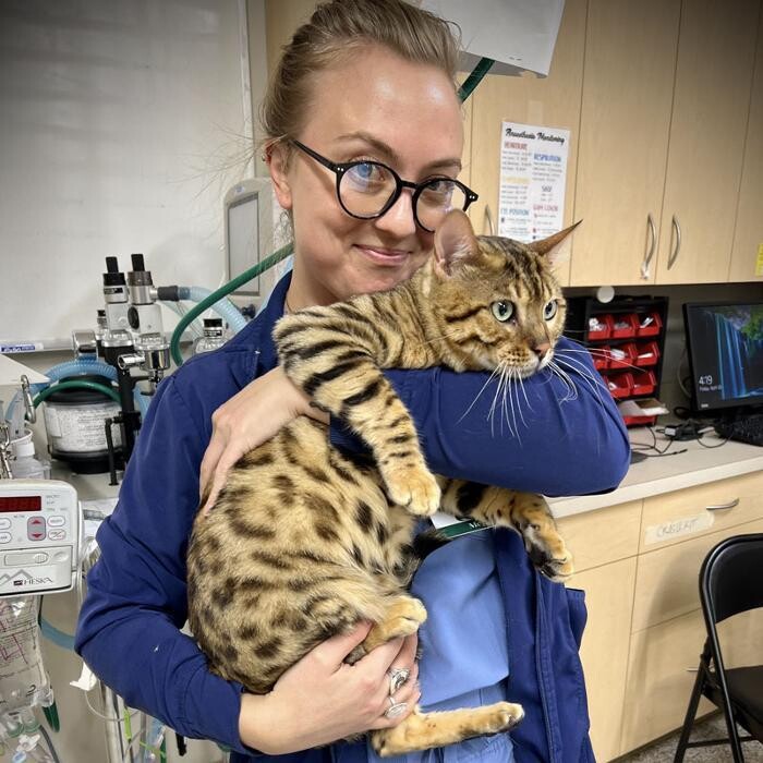 Images Noblesville Pet Wellness Clinic