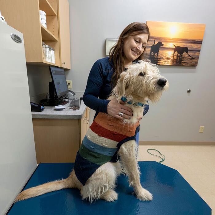Images Noblesville Pet Wellness Clinic
