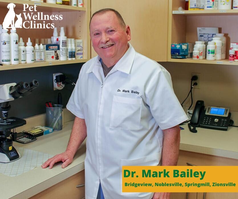 Images Noblesville Pet Wellness Clinic