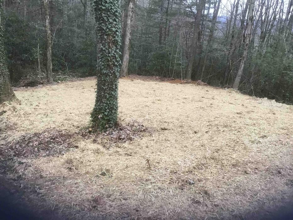 Images All About Septic - Mills River