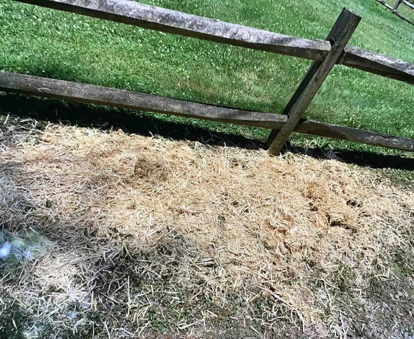 Images All About Septic - Mills River