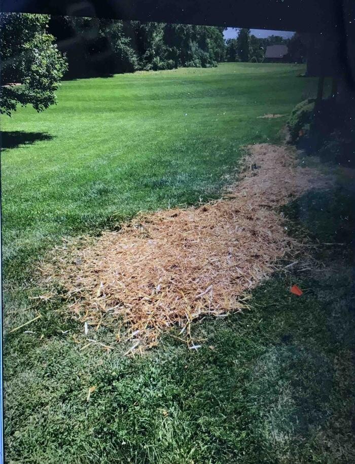 Images All About Septic - Mills River