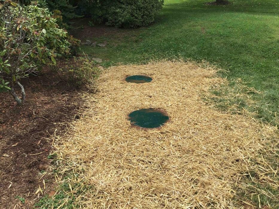 Images All About Septic - Mills River