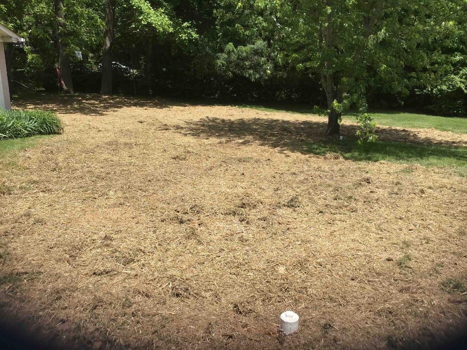 Images All About Septic - Mills River