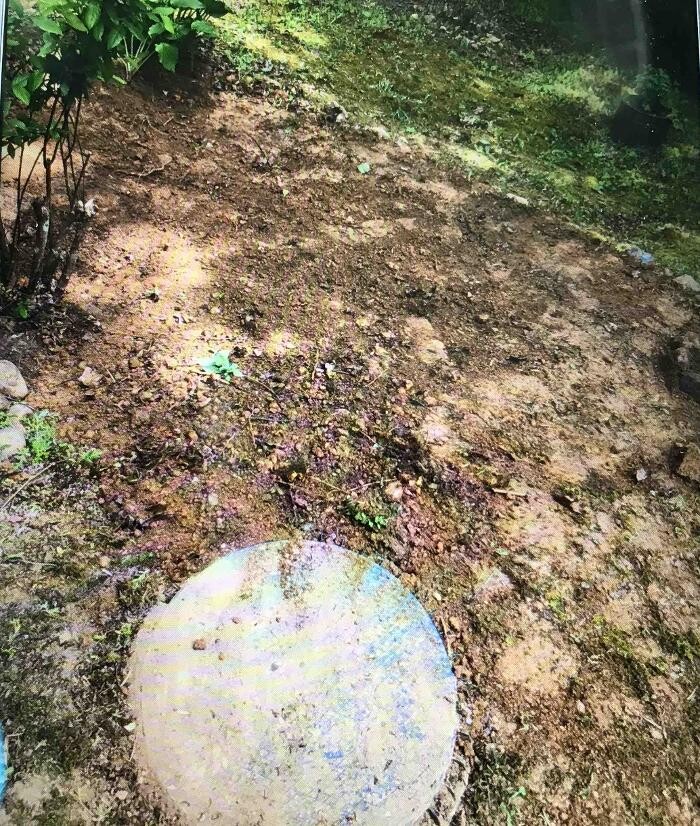 Images All About Septic - Mills River